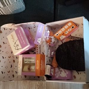 Pusheen The Cat  Box Fall 2021 Boosheen Halloween